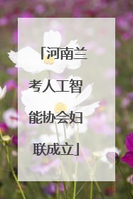 河南兰考人工智能协会妇联成立