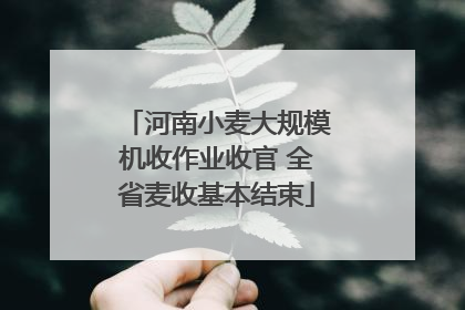 河南小麦大规模机收作业收官 全省麦收基本结束