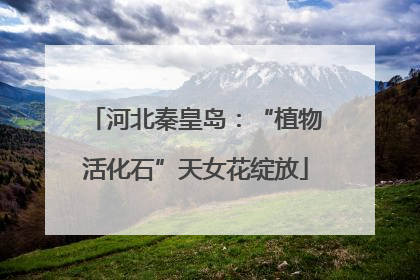 河北秦皇岛：“植物活化石”天女花绽放
