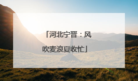 河北宁晋：风吹麦浪夏收忙