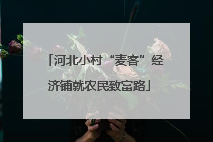 河北小村“麦客”经济铺就农民致富路