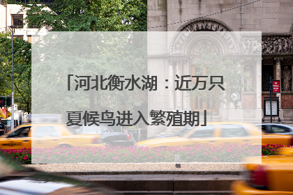 河北衡水湖：近万只夏候鸟进入繁殖期