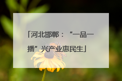 河北邯郸：“一品一播”兴产业惠民生