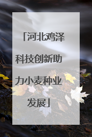 河北鸡泽科技创新助力小麦种业发展