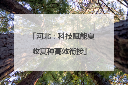 河北：科技赋能夏收夏种高效衔接