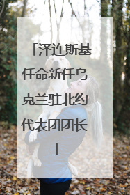 泽连斯基任命新任乌克兰驻北约代表团团长
