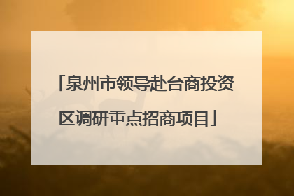 泉州市领导赴台商投资区调研重点招商项目