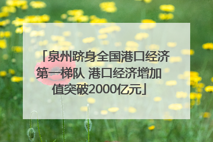 泉州跻身全国港口经济第一梯队 港口经济增加值突破2000亿元
