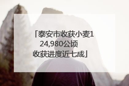 泰安市收获小麦124,980公顷 收获进度近七成