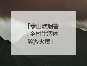泰山炊烟巷：乡村生活体验游火爆