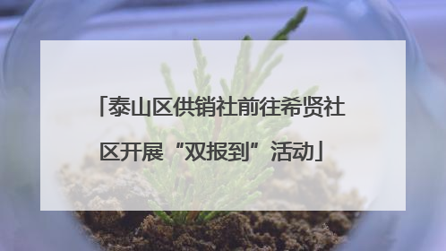 泰山区供销社前往希贤社区开展“双报到”活动