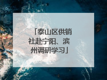 泰山区供销社赴宁阳、滨州调研学习