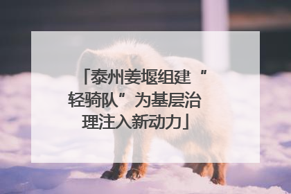 泰州姜堰组建“轻骑队”为基层治理注入新动力