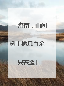 洛南：山间树上栖息百余只苍鹭