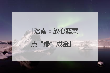洛南：放心蔬菜点“绿”成金