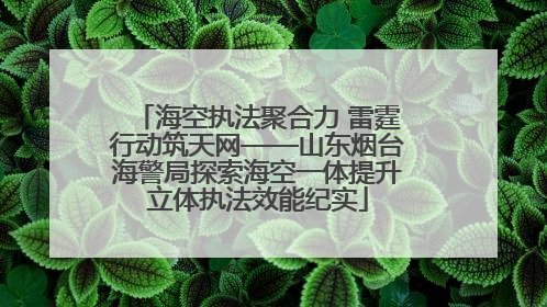 海空执法聚合力 雷霆行动筑天网——山东烟台海警局探索海空一体提升立体执法效能纪实