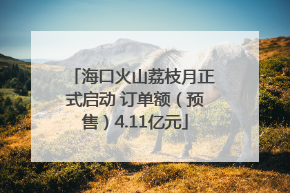 海口火山荔枝月正式启动 订单额（预售）4.11亿元