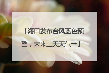 海口发布台风蓝色预警，未来三天天气→