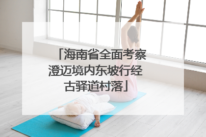 海南省全面考察澄迈境内东坡行经古驿道村落