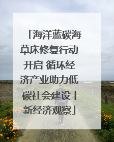 海洋蓝碳海草床修复行动开启 循环经济产业助力低碳社会建设丨新经济观察