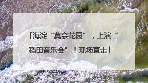 海淀“莫奈花园”，上演“稻田音乐会”！现场直击