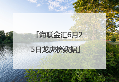 海联金汇6月25日龙虎榜数据