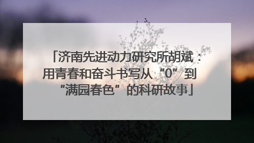 济南先进动力研究所胡斌：用青春和奋斗书写从“0”到“满园春色”的科研故事