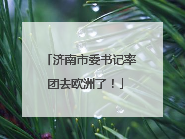 济南市委书记率团去欧洲了！