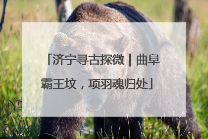 济宁寻古探微｜曲阜霸王坟，项羽魂归处