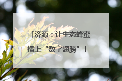 济源：让生态蜂蜜插上“数字翅膀”