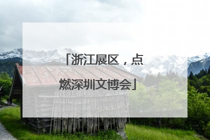 浙江展区，点燃深圳文博会