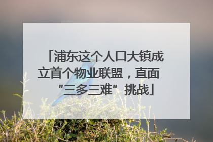 浦东这个人口大镇成立首个物业联盟，直面“三多三难”挑战