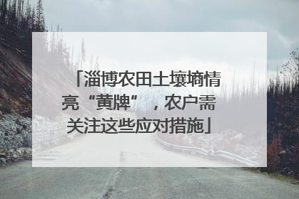 淄博农田土壤墒情亮“黄牌”，农户需关注这些应对措施
