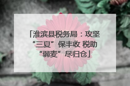 淮滨县税务局：攻坚“三夏”保丰收 税助“弱麦”尽归仓