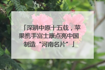 深耕中原十五载，苹果携手富士康点亮中国制造“河南名片”