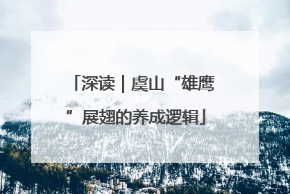 深读｜虞山“雄鹰”展翅的养成逻辑