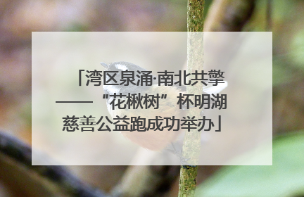 湾区泉涌·南北共擎——“花楸树”杯明湖慈善公益跑成功举办