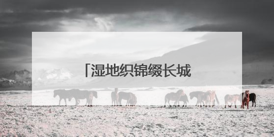 湿地织锦缀长城，苍头河染绿右玉文旅新画卷