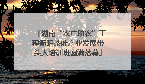 湖南“农广助农”工程衡阳茶叶产业发展带头人培训班圆满落幕