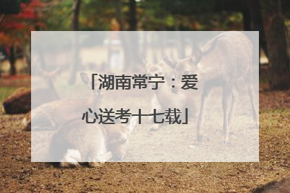 湖南常宁：爱心送考十七载