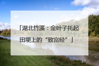 湖北竹溪：金叶子托起田埂上的“致富经”