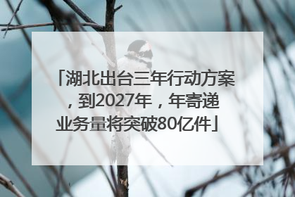 湖北出台三年行动方案，到2027年，年寄递业务量将突破80亿件
