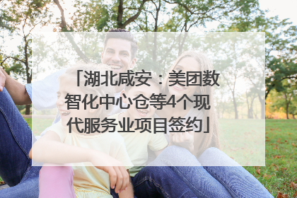 湖北咸安：美团数智化中心仓等4个现代服务业项目签约