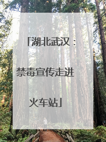湖北武汉：禁毒宣传走进火车站