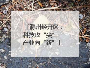 滁州经开区：科技攻“尖” 产业向“新”