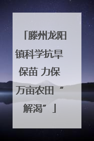 滕州龙阳镇科学抗旱保苗 力保万亩农田“解渴”