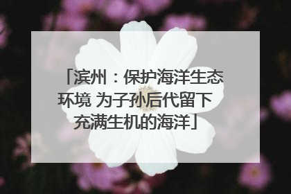 滨州：保护海洋生态环境 为子孙后代留下充满生机的海洋
