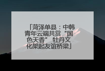菏泽单县：中韩青年云端共赏“国色天香” 牡丹文化架起友谊桥梁
