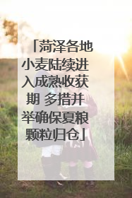 菏泽各地小麦陆续进入成熟收获期 多措并举确保夏粮颗粒归仓