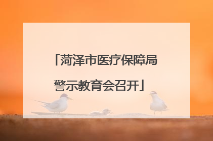 菏泽市医疗保障局警示教育会召开